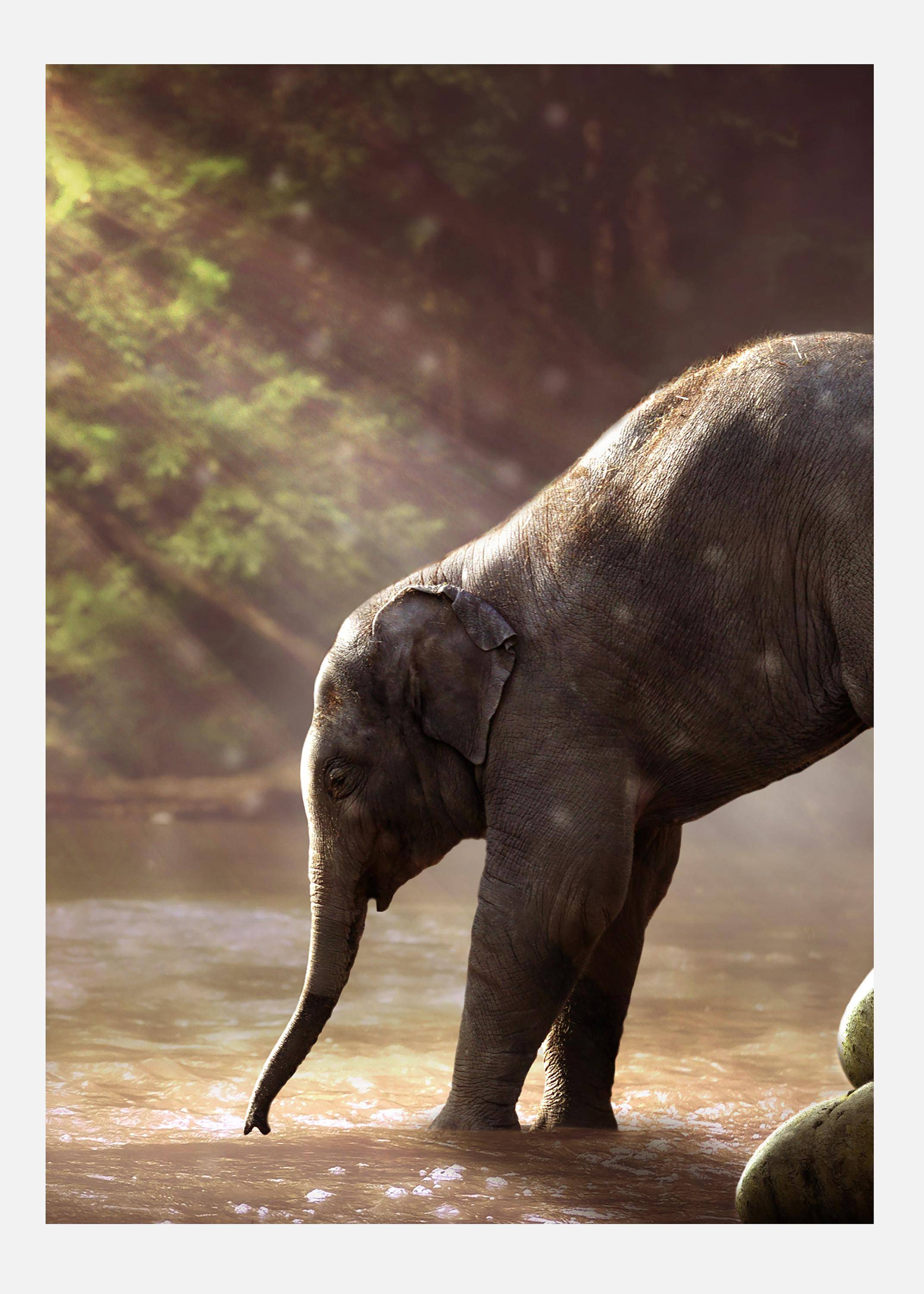 I Got Your Back Canvastavla (70x100 cm)