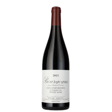 - Bourgogne Rouge Domaine Frederic Esmonin Gevrey-Chambertin 2023