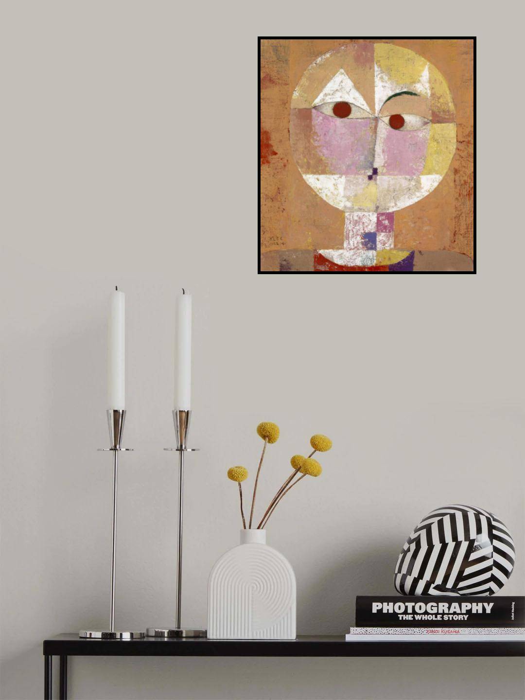 Senecio Baldgreis 1922 Poster och Canvastavla - Canvas 70x100 cm