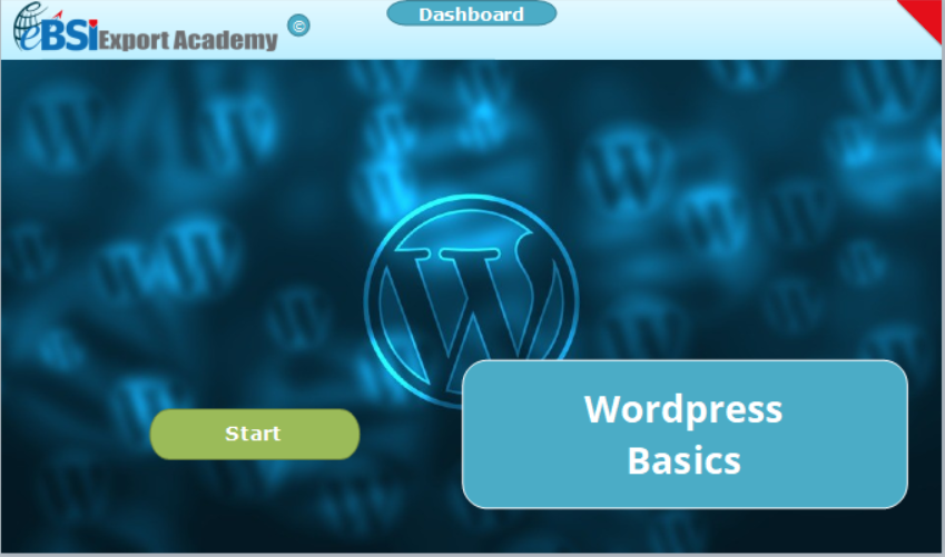 Wordpress Basics - 10 Licences