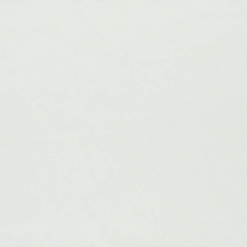 Designers Guild tyg Aquarelle Platinum