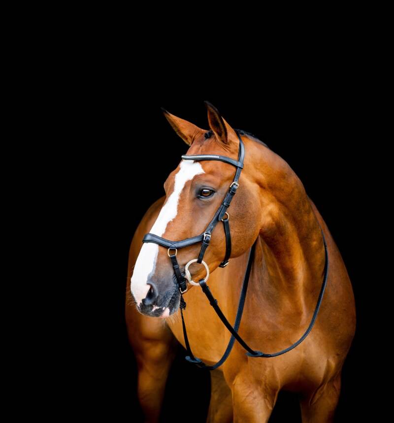 Rambo Micklem 2 Diamante - Svart, Horseware