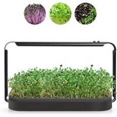 planters sprouts and microgreens herbs grow germination kits Smart Timer Hydroponic Growing Light Systems for indoor home garden