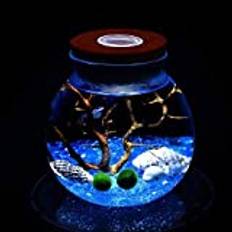 LED-terrarium nattlampa LED akvarium marimo kit – glob glasburk med 2 vattenlevande mossboll blå glasstenar fläkt korallgren och snäckskal kontor unika födelsedagspresenter (blå)