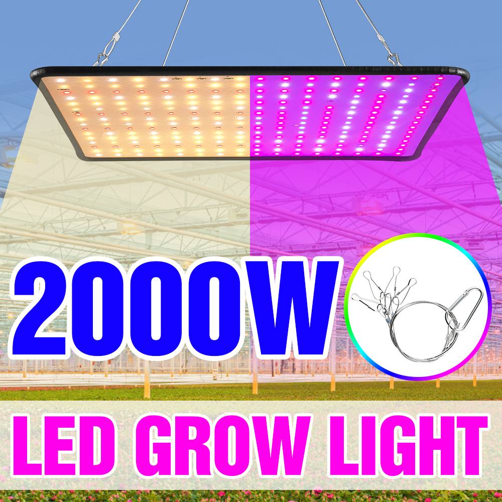 1000W Grow Light Led Full Spectrum Lamp 1500W 2000W Led Plant Light Bulb Greenhouses Indoor Phyto Lamp Grow Tent US EU UK Plug