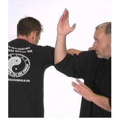 Tai Chi Selvforsvar for begyndere MP4 - Download