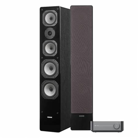 WiiM Amp & Dynavoice Challenger M-65, stereopaket