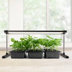 Enne Plate Grow -växtbelysning, 24 W, 1700 lm, svart