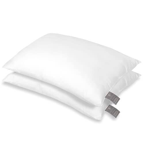 FAM Home kudde 50x60 uppsättning om 2 mjuka mikrofiber – kuddar 50 x 60 allergiker med optimalt stöd för nacke och huvud