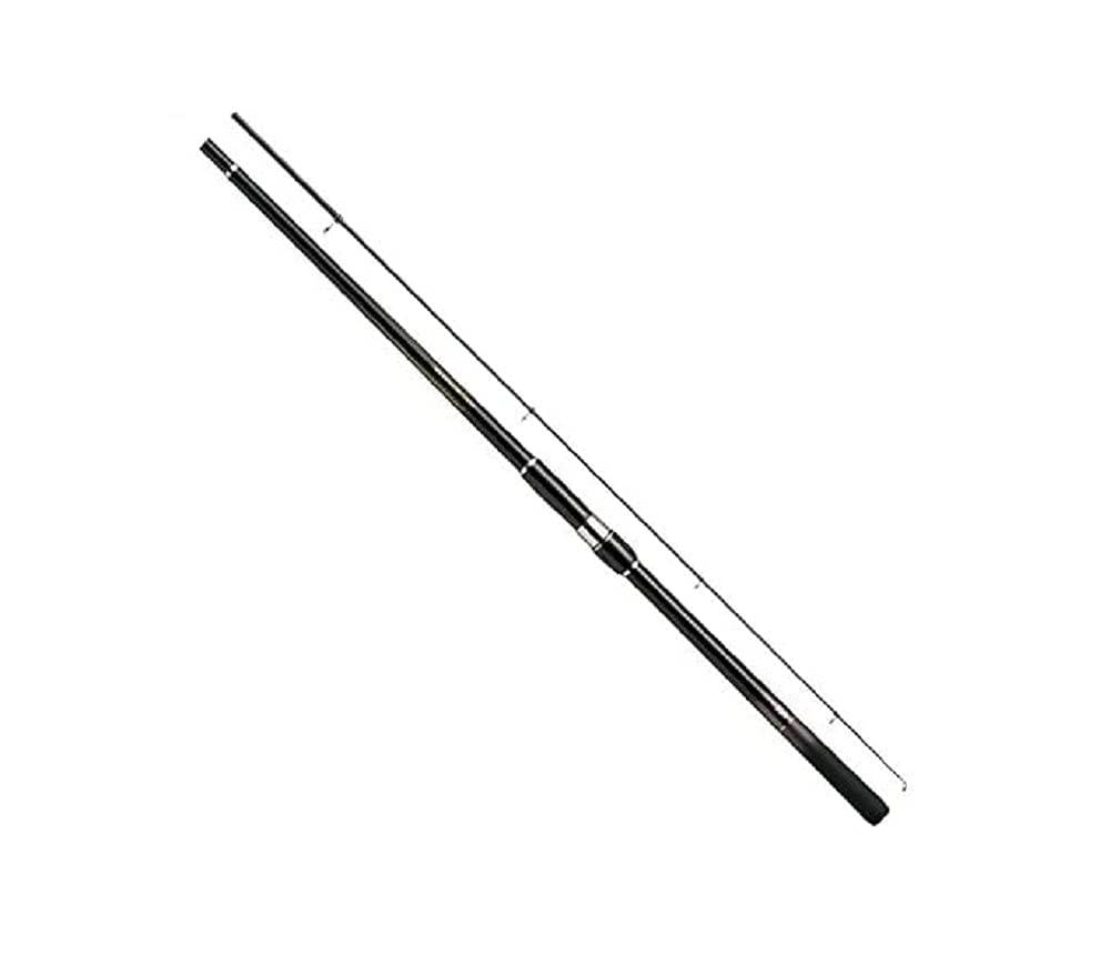 DAIWA Havsfiskerulle Havsfiskerulle Paradise E M-350 E svart