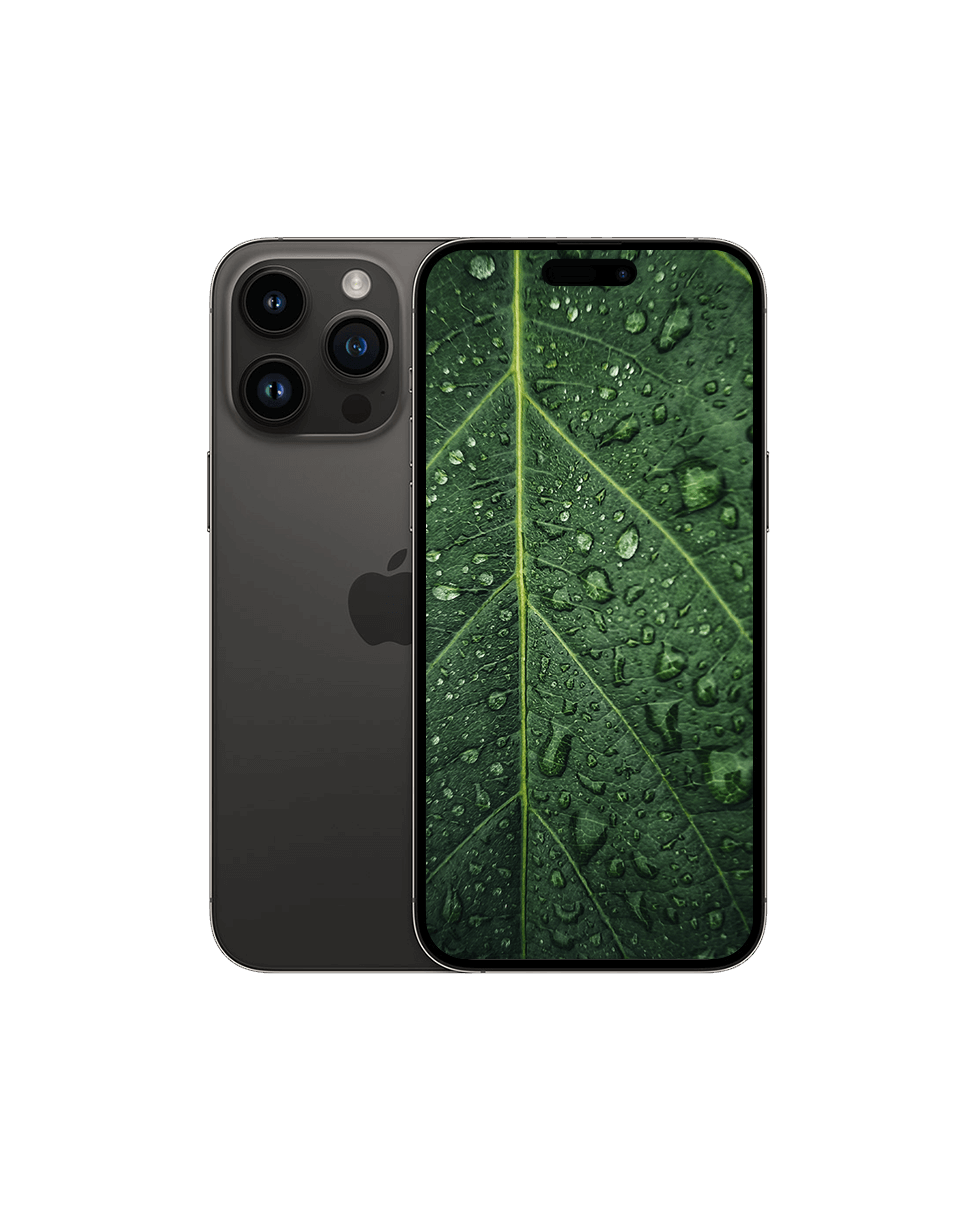iPhone 14 Pro Max Rymdsvart / 256GB / Nyskick