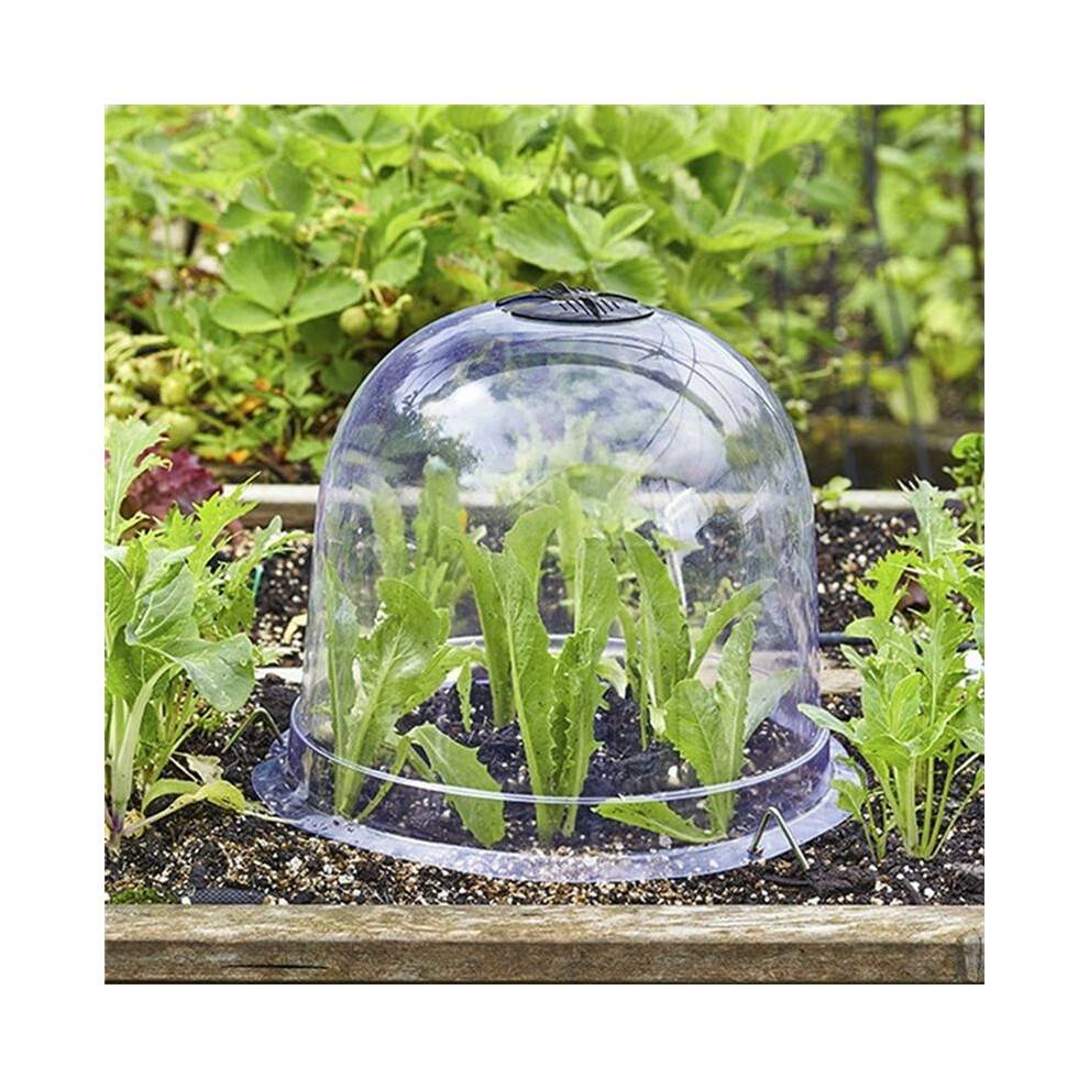 12Pcs Reusable Plastic Greenhouse Garden Plant Bell Cover Plant Germination Cover Dome Frost Guard Freeze Protection