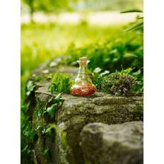 Karaffel miniverse - NatureÂ´s Design - GodKarmaShop