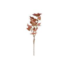 Lönn snittblomma orange - Orange (H: 70 cm)