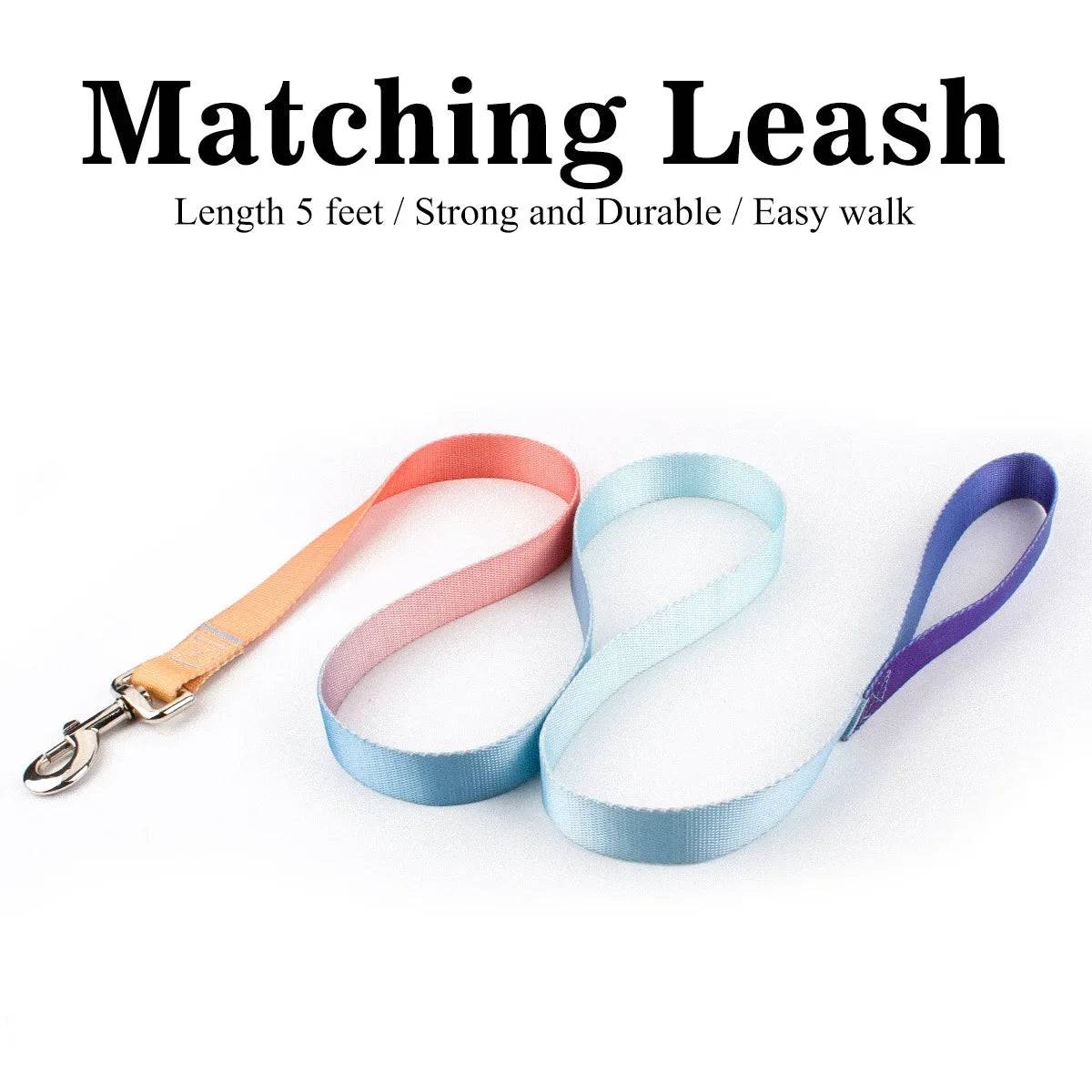 Adjustable Nylon Dog Collar & Leash Set - For Small to Large Dogs - Leash Pink Blue / L 32KG-41KG (L 32KG-41KG)