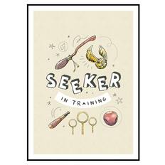 Harry Potter™ - Seeker in Training Poster (30x40 cm) - Poster Store