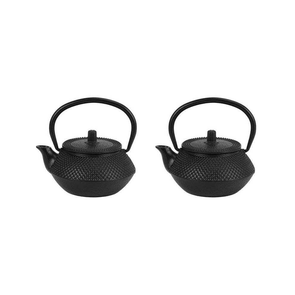 2X Iron Tea Pot with Stainless Steel Infuser Cast Japanese Iron Teapot Oolong Tea Puer Tea Tea Kettle 300ML