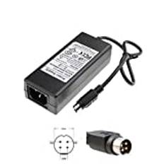 TOP CHARGEUR ® nätadapter 12 V 5 V 2A 4 stift för hårddisk Packard Bell HD D2 U2