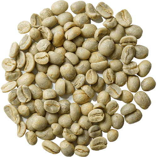Peru Cajamarca – ekologiskt råkaffe (1 kg)