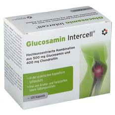 Intercell Pharma - Glucosamine-Intercell (120 Caps)