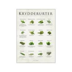 Poster & Frame - Simon Holst - Plakat - Krydderurter - 50x70