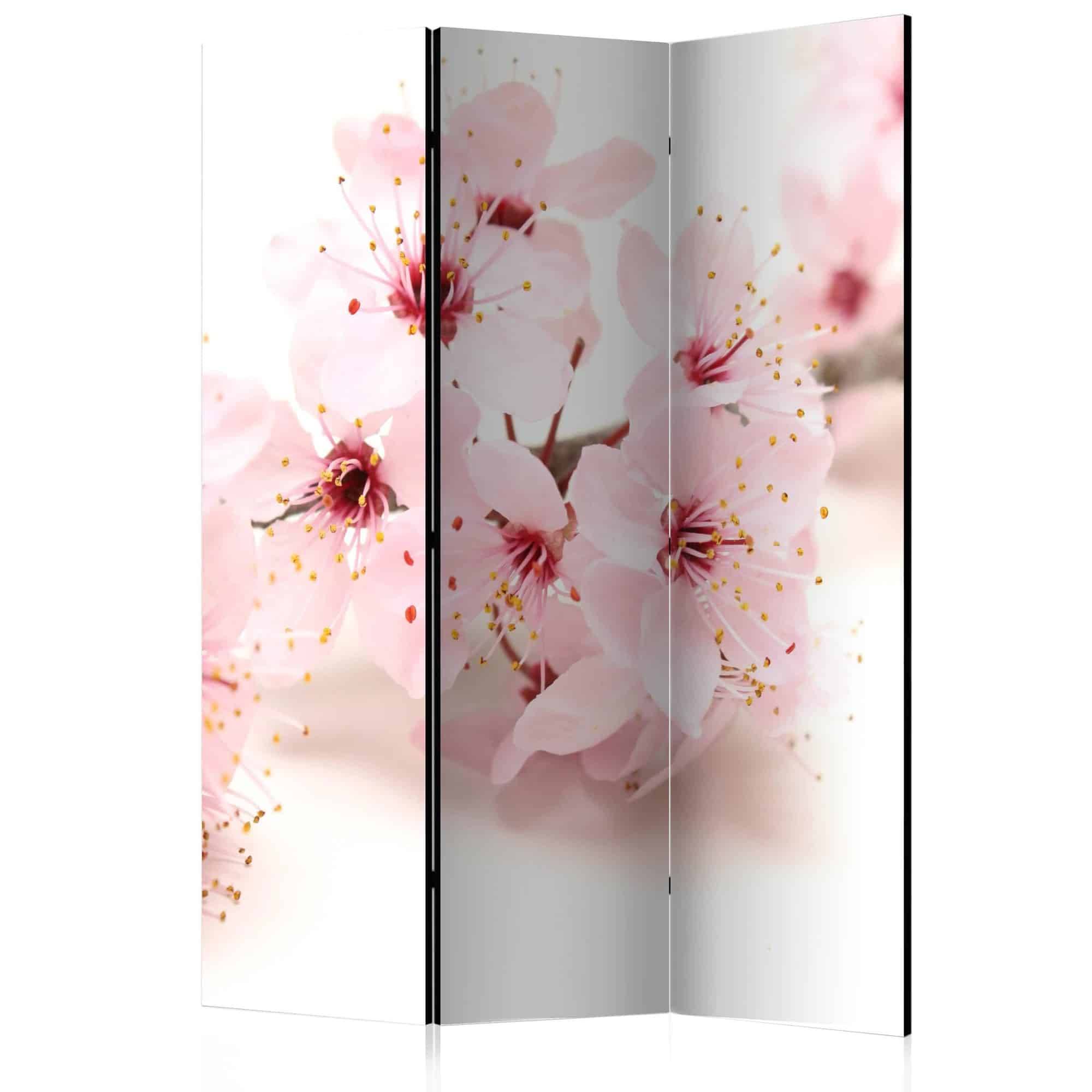 Skærmvæg Cherry Blossom