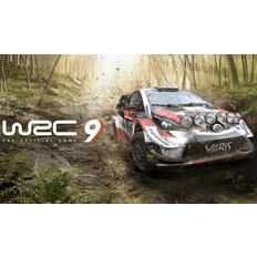 WRC 9 (PC Epic Games Accounts) - Standard