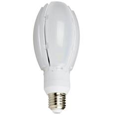 LED Gårdslampa Olive 30W E27 4000K