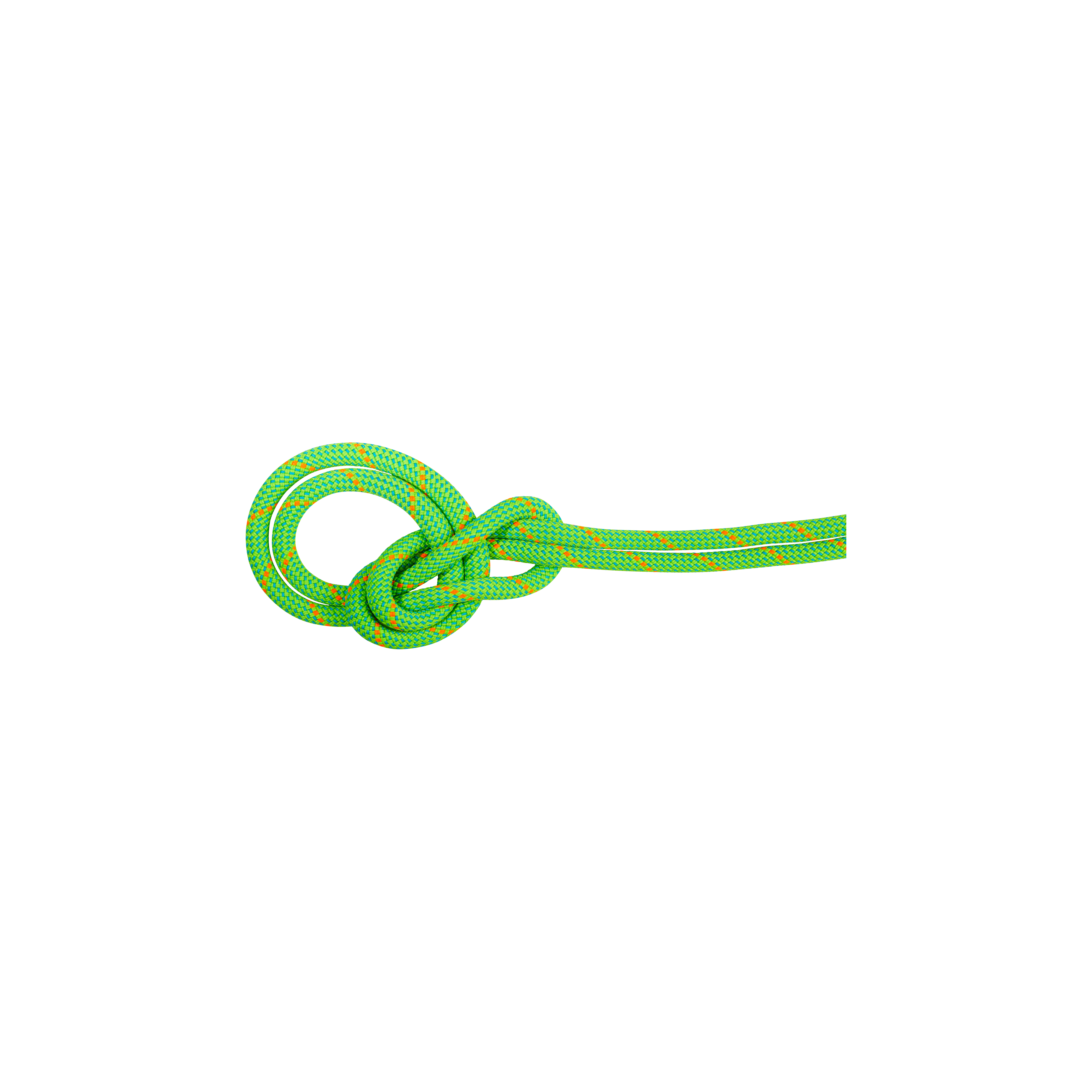 Mammut Single rope for sports and traditional climbing 9.5 Crag Dry Rope 40m Green 40 m