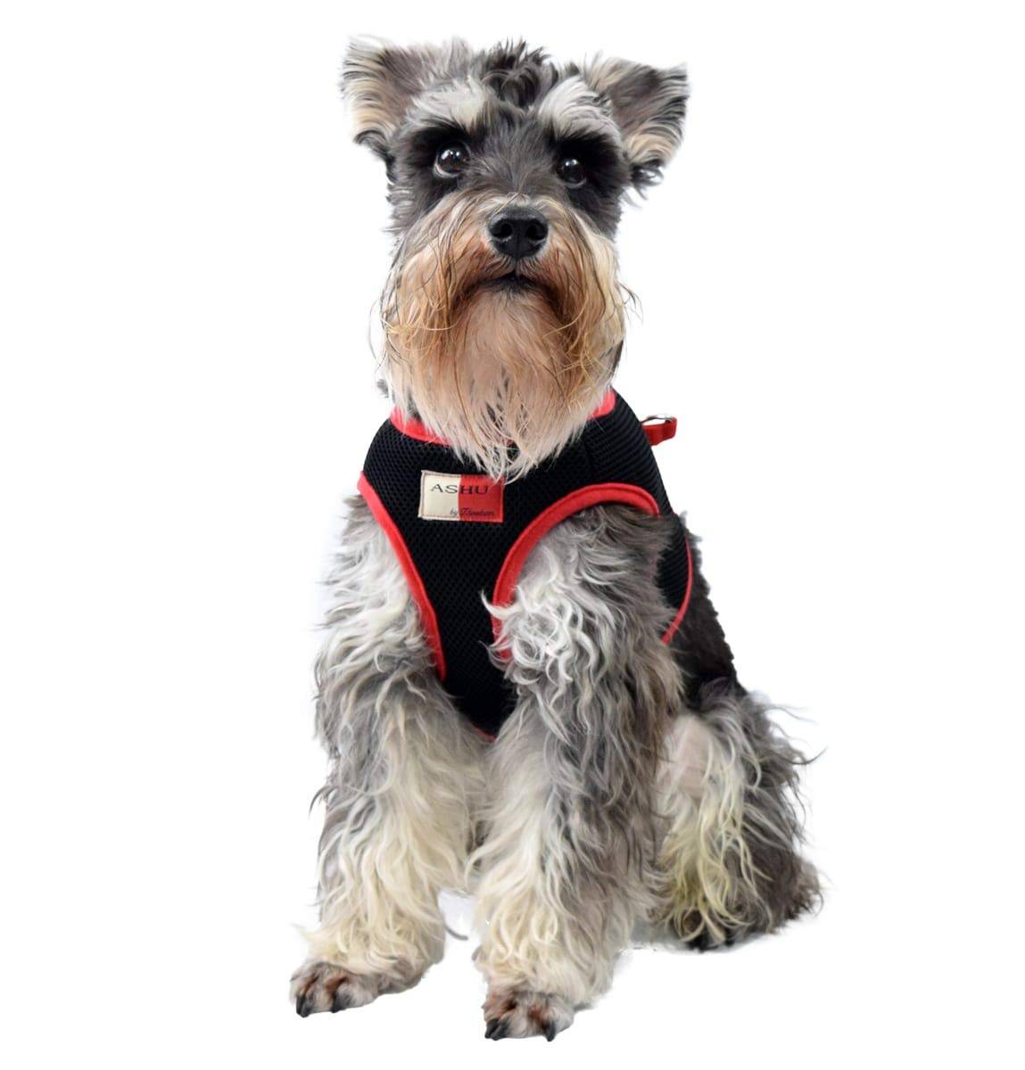 ASHU Dog Wear Harness, Mesh, Black, L (Chest Size 42-47cm), Tezukayama Houndcam