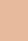 SKIN LOVER REFINING FACE POWDER FOUNDATION - Puder - golden toffee