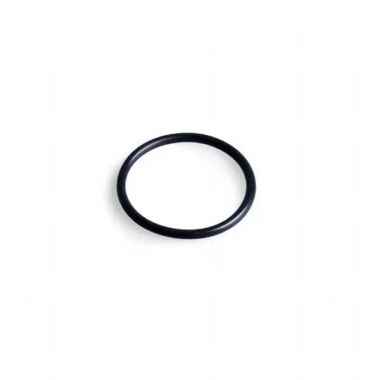Intex O-ring Pumpe og Saltvandssytem Intex reservedel 12947