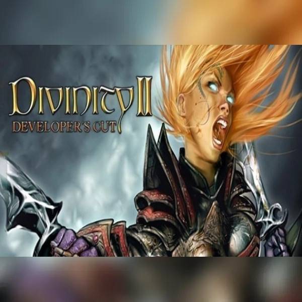 Divinity II: Developer's Cut (PC) Steam Key - GLOBAL