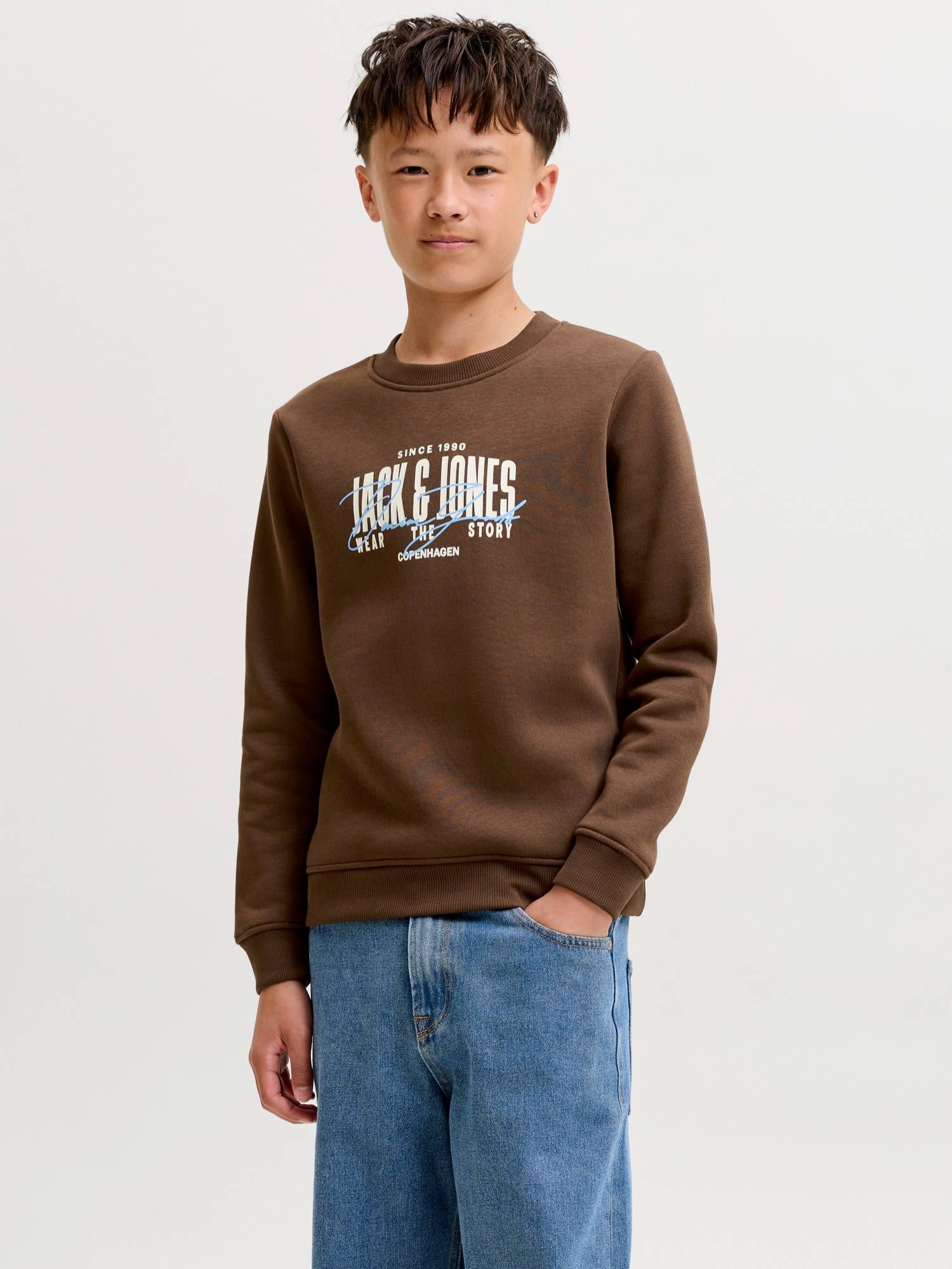 Jack & Jones Junior Sweatshirt 'JJAERO'  lyseblå / brun / hvid