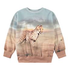 Molo Mattis Sweatshirt Running Cheetahs 128 cm  Brun  128 cm  mand
