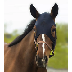 Fenwick Equestrian Liquid Titanium® maske - Karabinlukning - S