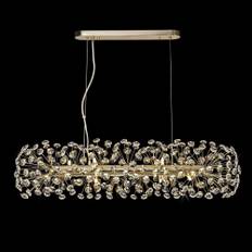 Lumiere Bridestowe 10 Lamp Oblong Linear Pendant in French Gold &amp;