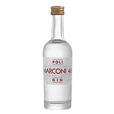 Poli Marconi 46 Italian Gin Mignon 5 cl