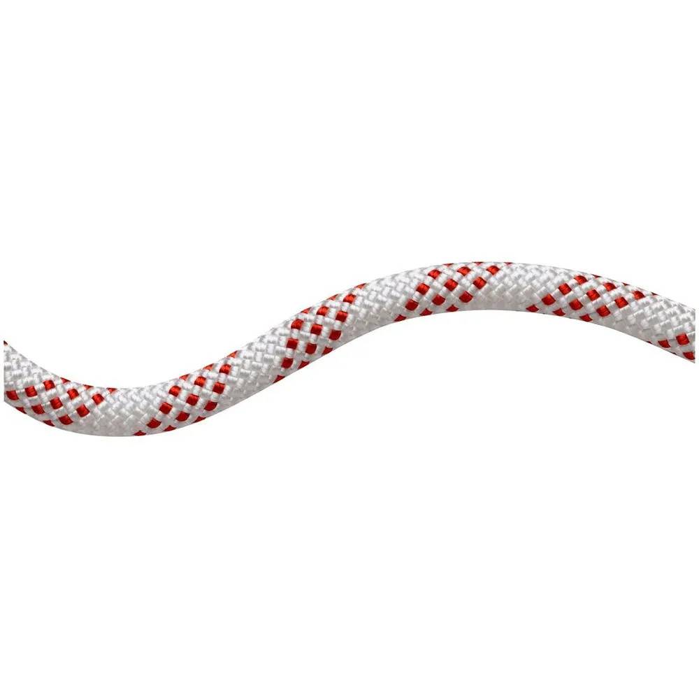Mammut 11.0 Performance Static Reb