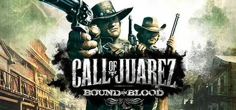 Call of Juarez: Bound in Blood (PC / Steam Key)
