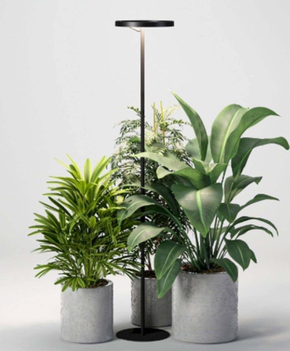Växtbelysning golvlampa med timer, höjd 164,5 cm