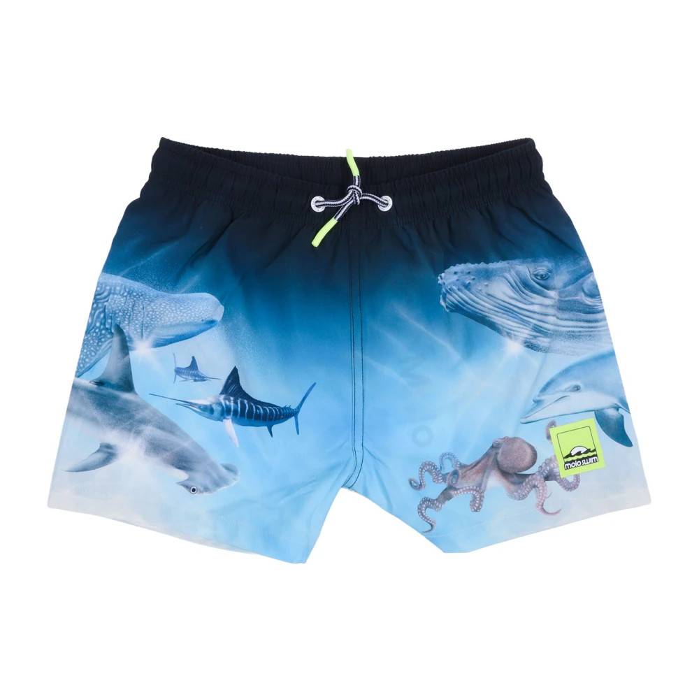 Molo Niko Badeshorts - Kids - unisex - Blå - 146 CM - Polyester