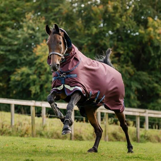Horseware Amigo 1200D Plus Turnout 50 gram.