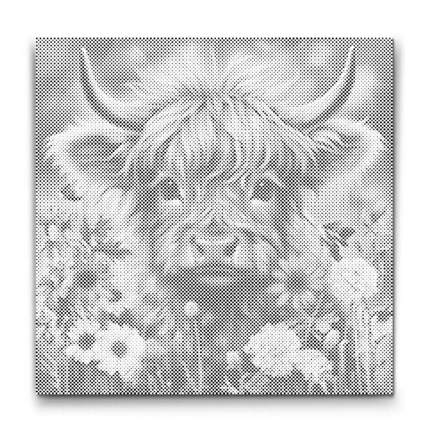 KO I BLOMMOR | PRICKMÅLNING - 80x80 cm / Duk - Utan ram / Guld