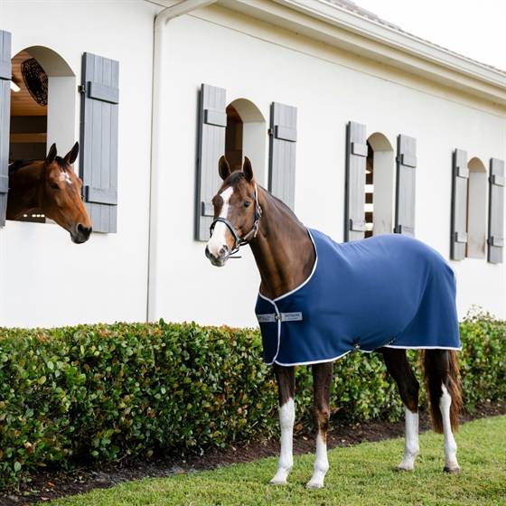 Horseware Amigo Pony model Jersey Cooler.