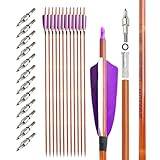 surwolf Bågskytte Kolpilar ID 6,2 mm Jaktpilar Spine 500 Target Arrows for Compound & Recurve Bow 12/24st (lila, 12)