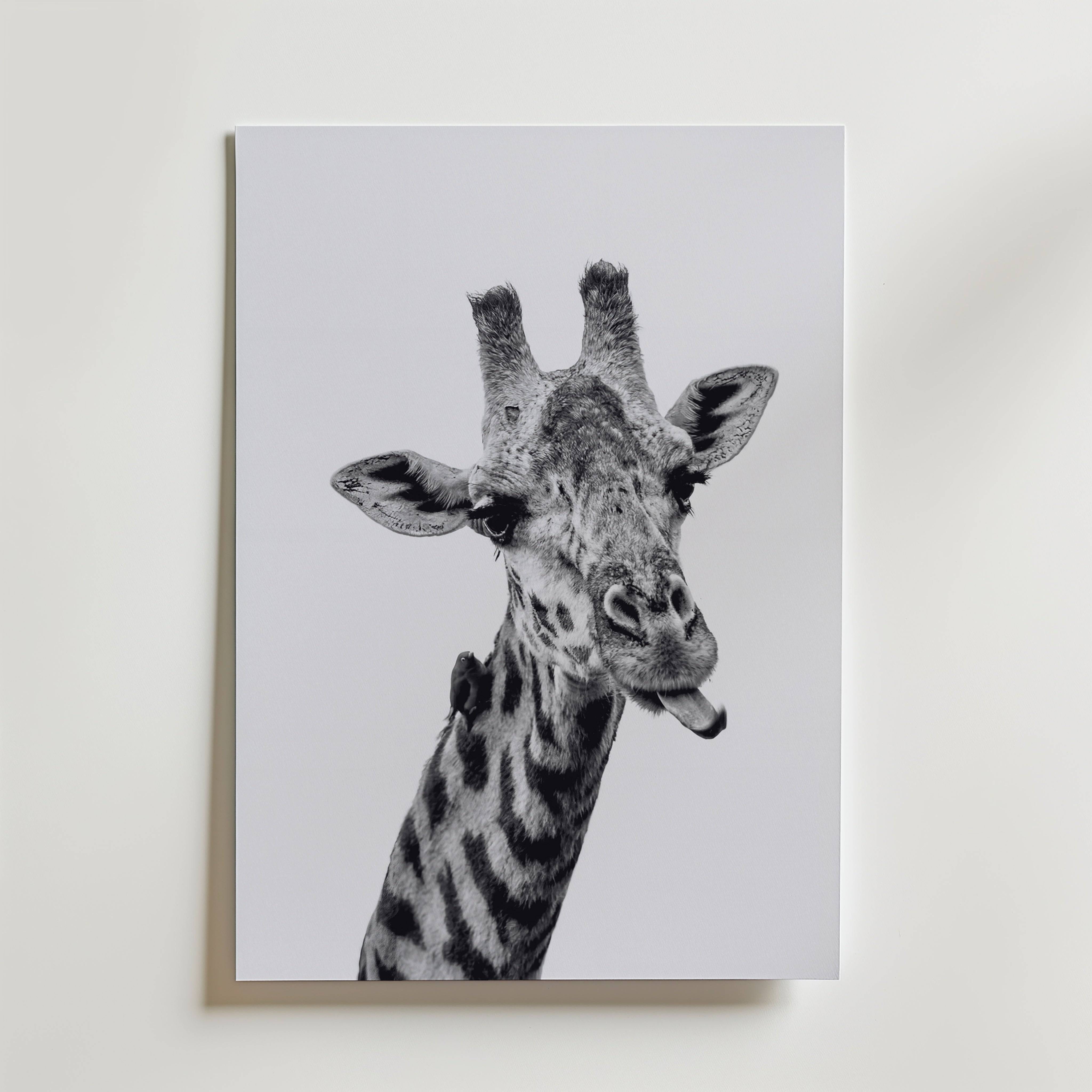 Cheeky Giraffe Poster - Premium Canvas 70x100 cm Utan passepartout