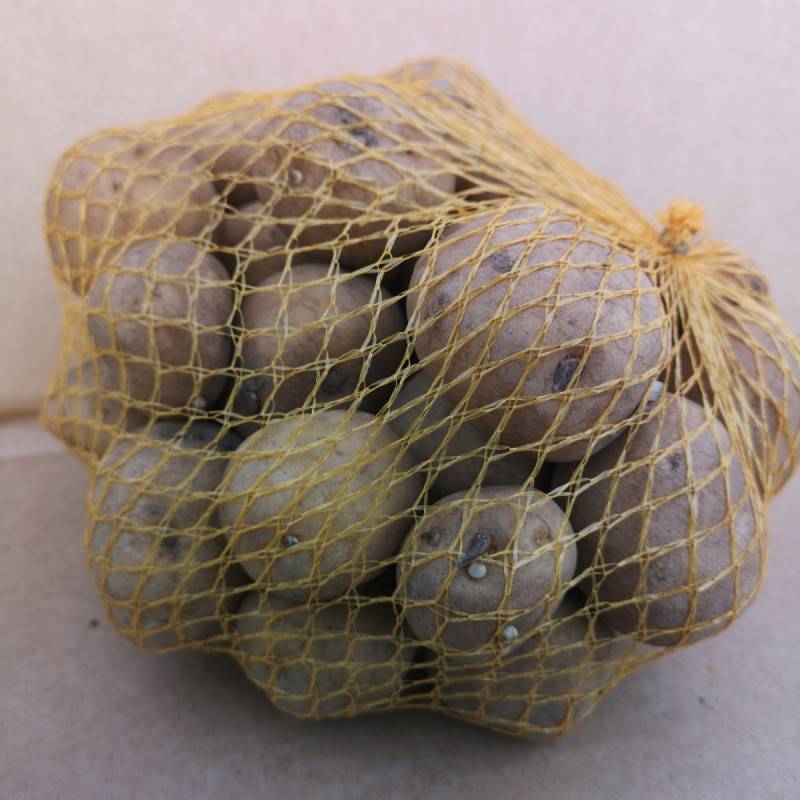 Parel Læggekartofler - 1 Kg. - Tidlig-Middeltidlig.