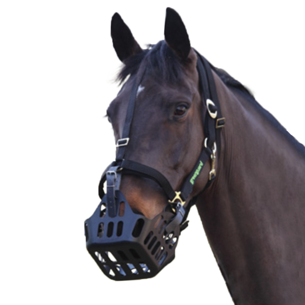 Greenguard grime Shetland/Pony.
