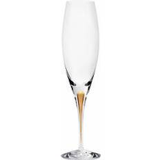 Intermezzo Guld Champagne 26 cl 2-p Orrefors